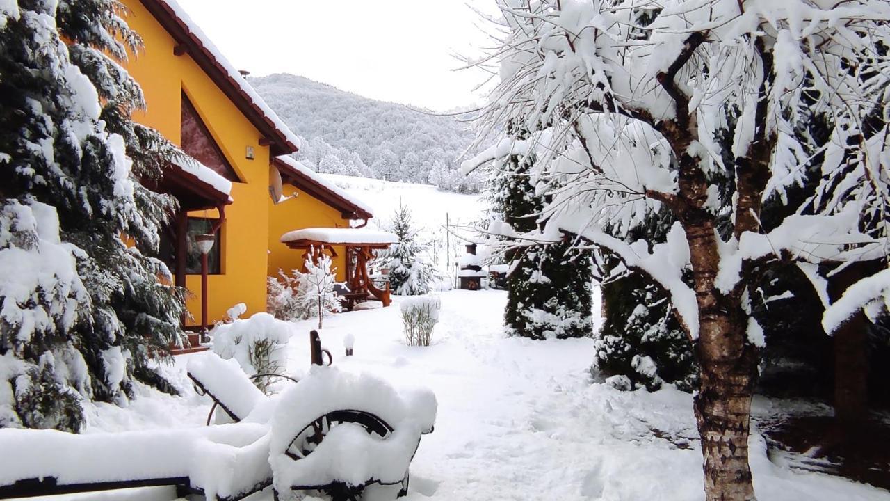 Home Away From Home Gura Rîului Dış mekan fotoğraf
